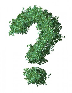 green question mark full sized