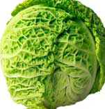 cabbage