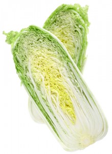 napa cabbage