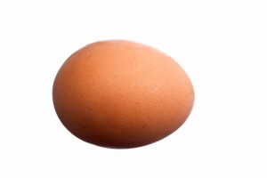 Egg